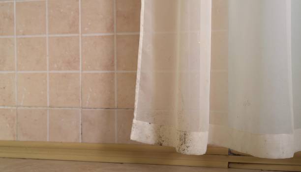 Best Environmental Consulting for Mold Prevention  in Buckner, KY