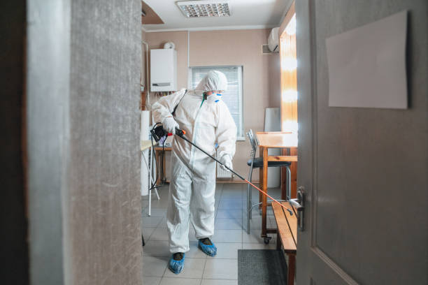 Best Water Damage & Mold Remediation  in Buckner, KY