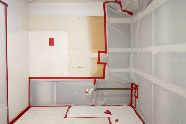Best Post-Remediation Verification Testing  in Buckner, KY